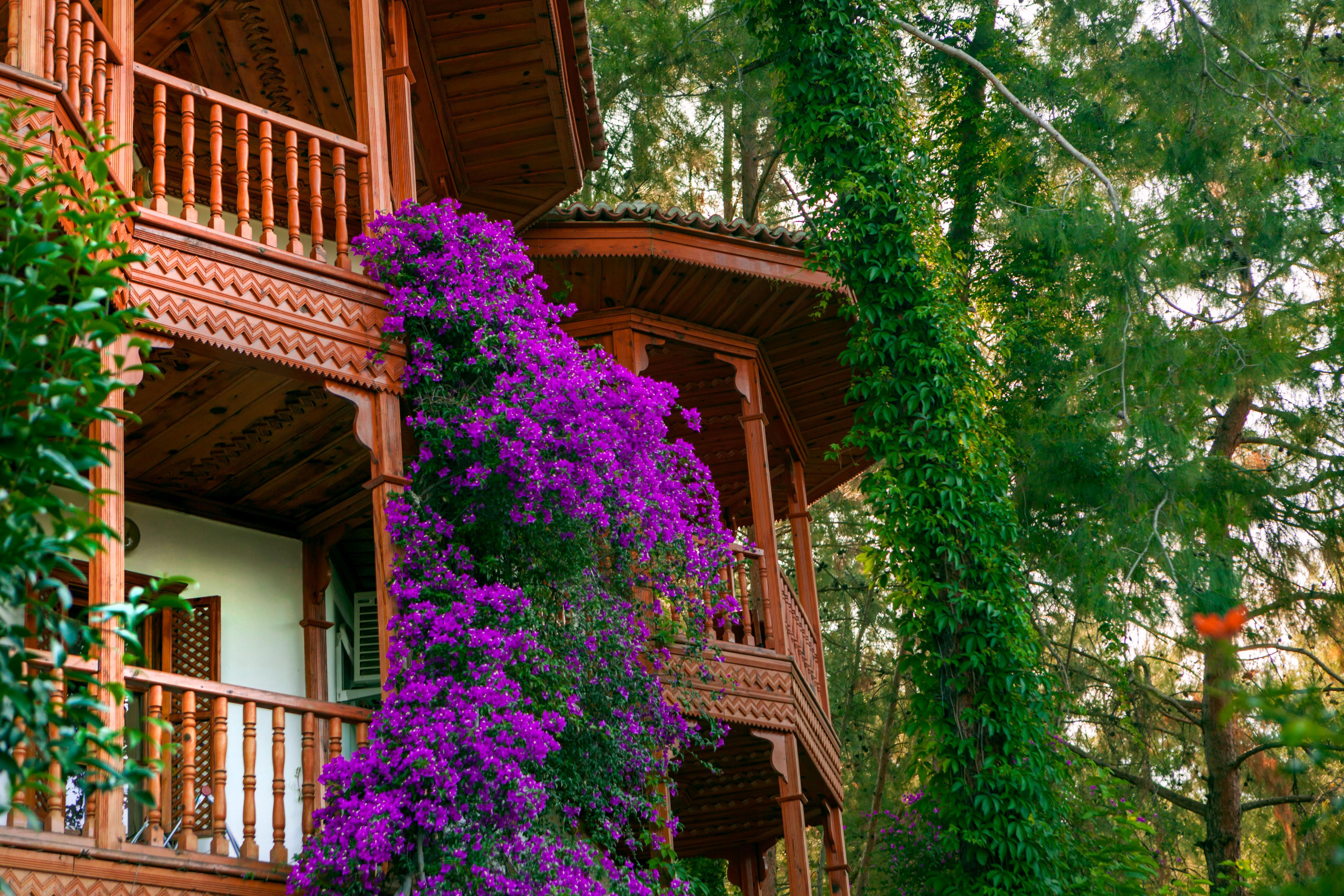 Club & Hotel Letoonia Fethiye Exterior photo